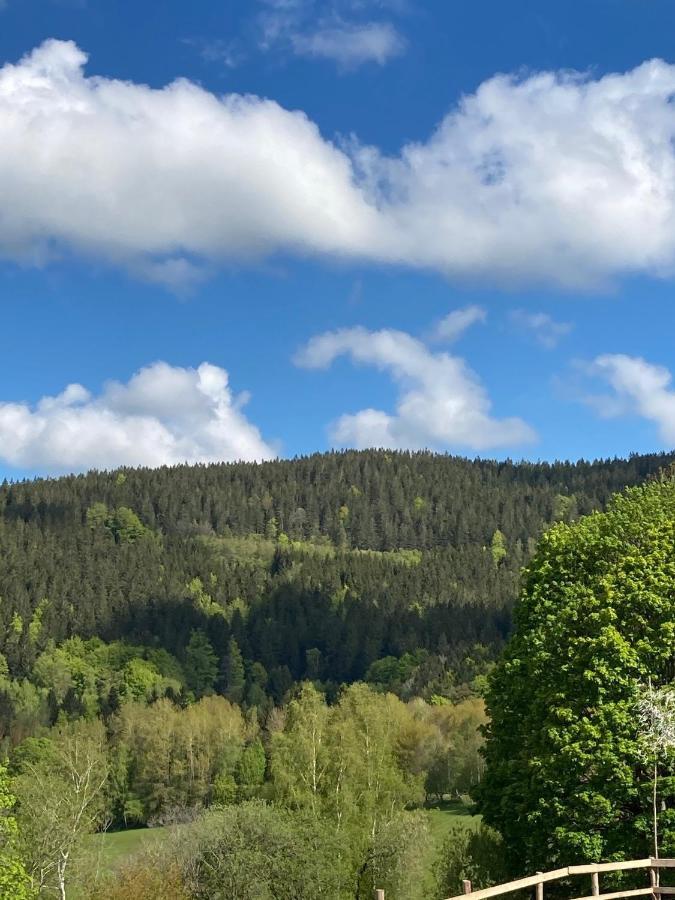 Apartman Brcalnik Sumavske Strane Hojsova Stráž Buitenkant foto